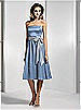 Dessy Bridesmaid Style 2506