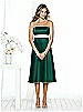 After Six Bridesmaid Style 6501