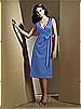 Dessy Bridesmaid Style 2716