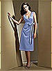 Dessy Bridesmaid Style 2716