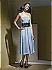Dessy Bridesmaid Style 2717