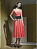 Dessy Bridesmaid Style 2717