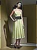 Dessy Bridesmaid Style 2717
