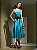 Dessy Bridesmaid Style 2717