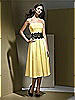 Dessy Bridesmaid Style 2717