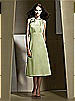 Dessy Bridesmaid Style 2727