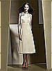 Dessy Bridesmaid Style 2727