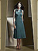 Dessy Bridesmaid Style 2727