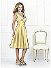 After Six Bridesmaid Style 6517