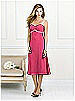 After Six Bridesmaid Style 6519