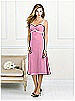 After Six Bridesmaid Style 6519