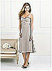 After Six Bridesmaid Style 6519