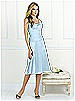After Six Bridesmaid Style 6521