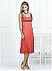 After Six Bridesmaid Style 6531