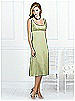 After Six Bridesmaid Style 6531