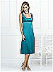 After Six Bridesmaid Style 6531