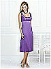 After Six Bridesmaid Style 6531