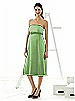 Alfred Sung Maternity Dress Style M415