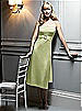 After Six Bridesmaid Style 6533