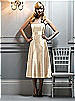 After Six Bridesmaid Style 6542