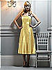 After Six Bridesmaid Style 6542