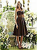 After Six Bridesmaid Style 6553