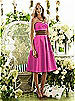 After Six Bridesmaid Style 6553