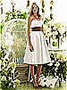After Six Bridesmaid Style 6553