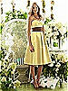 After Six Bridesmaid Style 6553