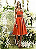 After Six Bridesmaid Style 6553