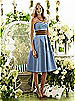 After Six Bridesmaid Style 6553