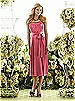 After Six Bridesmaid Style 6559