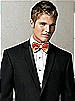 Iridescent Taffeta Bow Tie