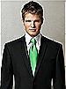 Iridescent Taffeta Neck Tie