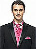 Iridescent Taffeta Cravat