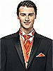 Iridescent Taffeta Cravat