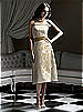 Dessy Bridesmaid Style 2752IV
