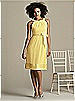 After Six Bridesmaid Style 6579