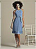 After Six Bridesmaid Style 6579