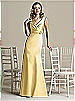 After Six Bridesmaid Style 6588