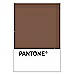 PANTONE WEDDING Swatch Cards