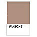 PANTONE WEDDING Swatch Cards