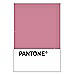 PANTONE WEDDING Swatch Cards