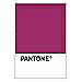 PANTONE WEDDING Swatch Cards