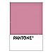 PANTONE WEDDING Swatch Cards