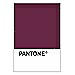 PANTONE WEDDING Swatch Cards