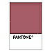 PANTONE WEDDING Swatch Cards
