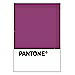 PANTONE WEDDING Swatch Cards
