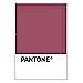 PANTONE WEDDING Swatch Cards