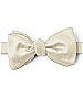 Dupioni Bow Ties